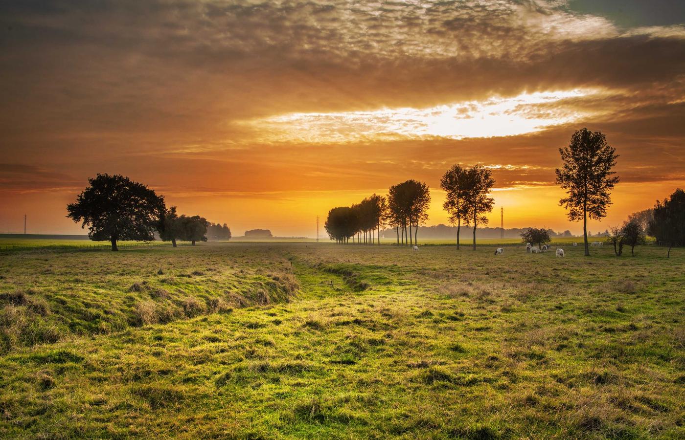 Мадина Ержанова