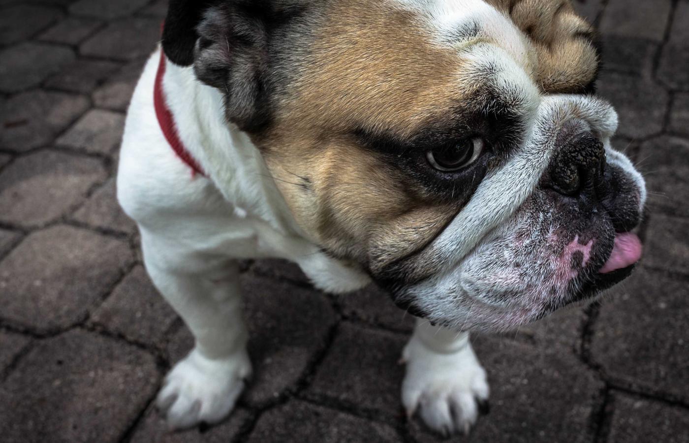 Диетологиялық кеңес